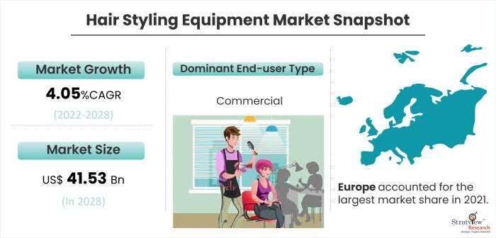 Hair Styling Equipment Market Snapshot